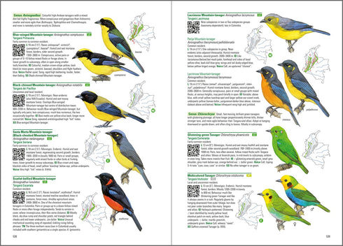 Birds of Colombia -Hilty 2021 Kovakantinen